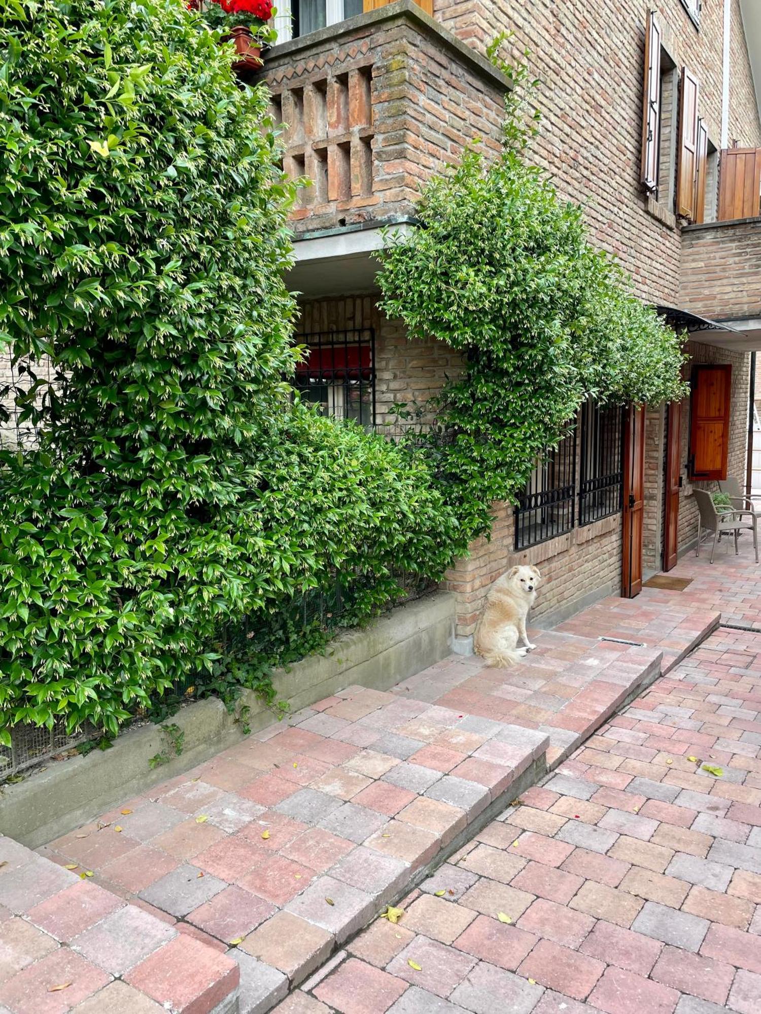 Appartement Casa Matilde Piano Terra 100Mq Con Parking E Piscina à Ferrare Extérieur photo
